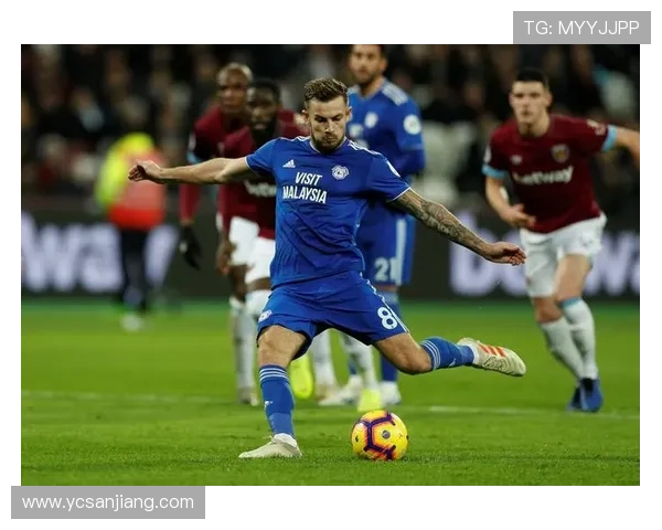 卡迪夫城足球俱乐部发展历程与未来展望分析