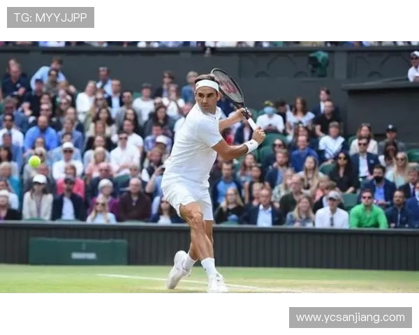 费德勒宣布退役后网球界的变革与未来展望